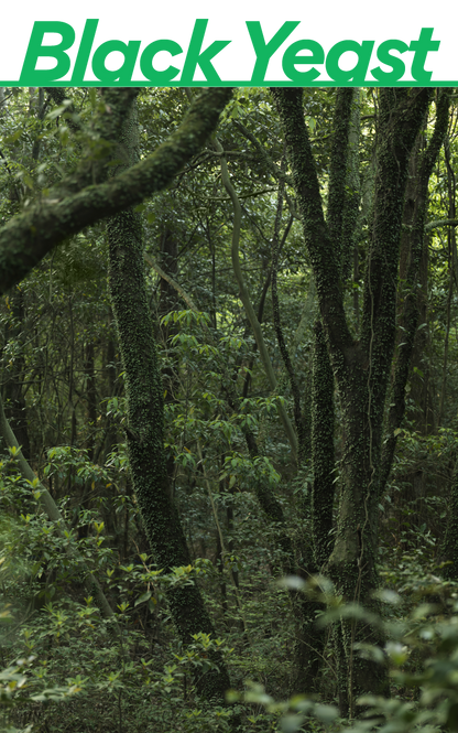 [Innisfree] Forest For Men Fresh Lotion 140ml